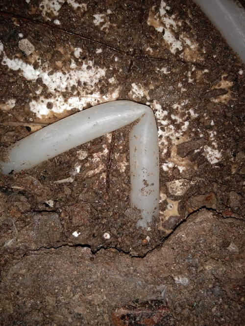 休宁堵点精准查找